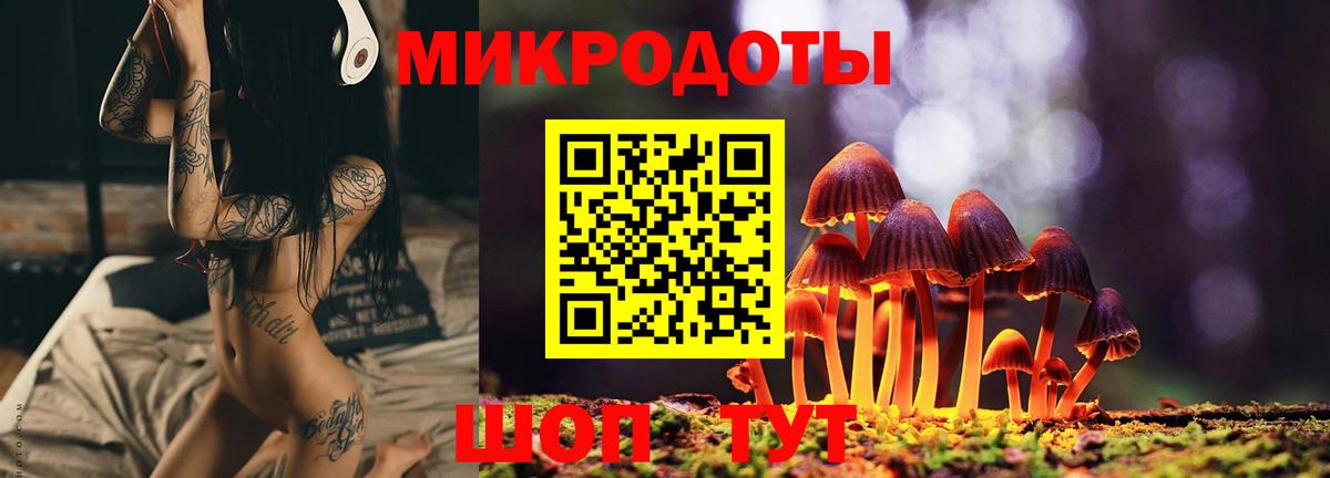 Псилоцибиновые грибы Psilocybine cubensis Карпинск