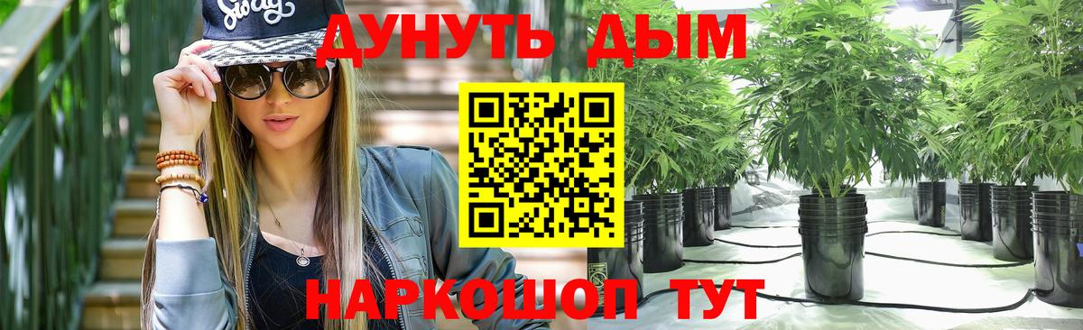 Конопля план Карпинск